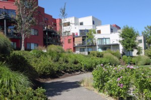 LANDLORDS, TENANTS AND HOAs